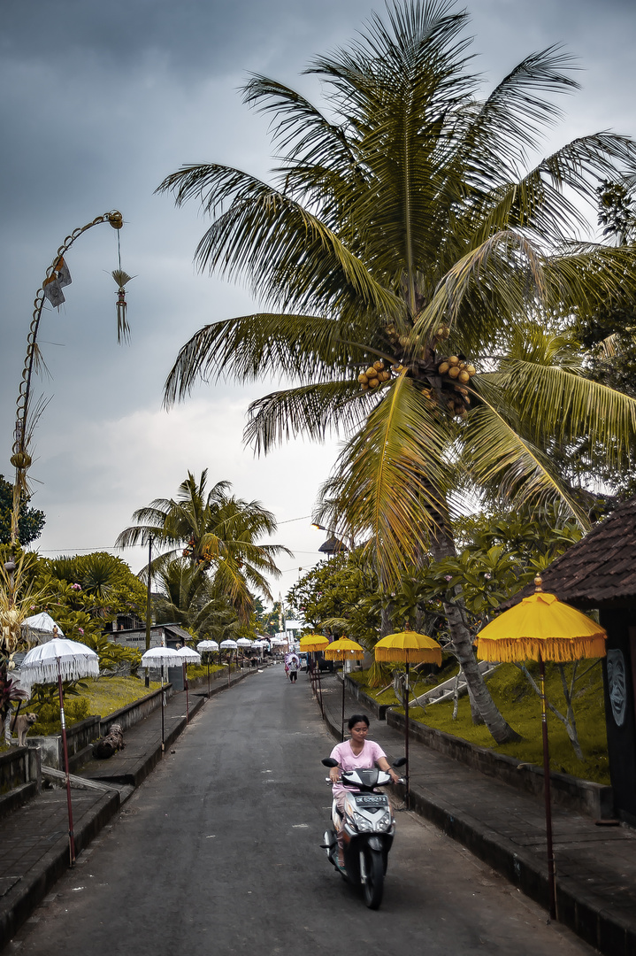 Local road along the village in Sembung