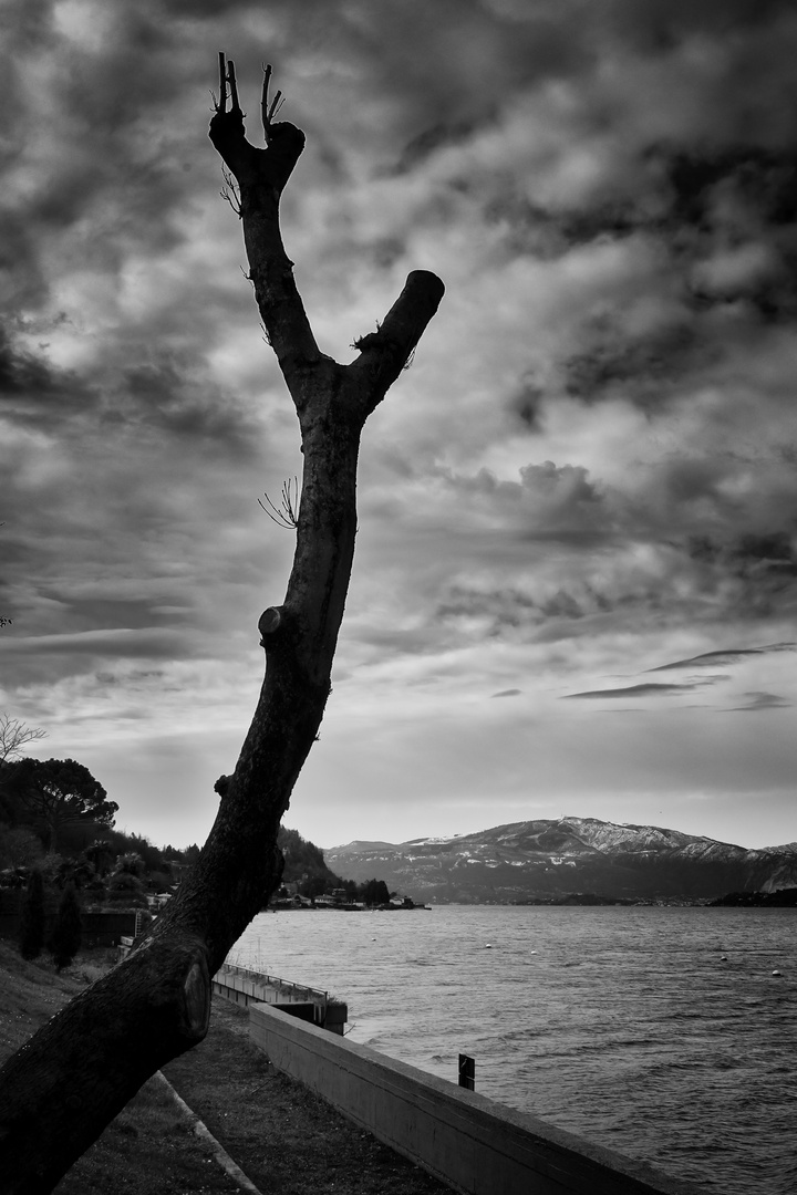 Località Mirasole, lago Maggiore