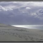 L'océan vu de la dune du Pyla