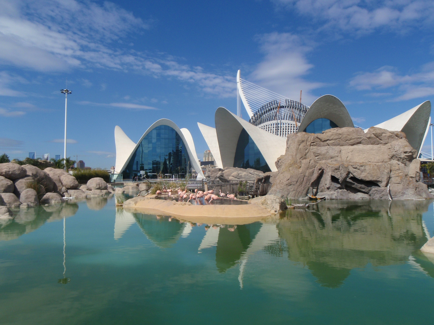 L'Oceanografic in Valencia