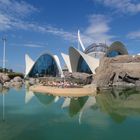 L'Oceanografic in Valencia