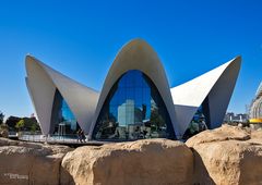 L'Oceanografic Submarino Restaurant