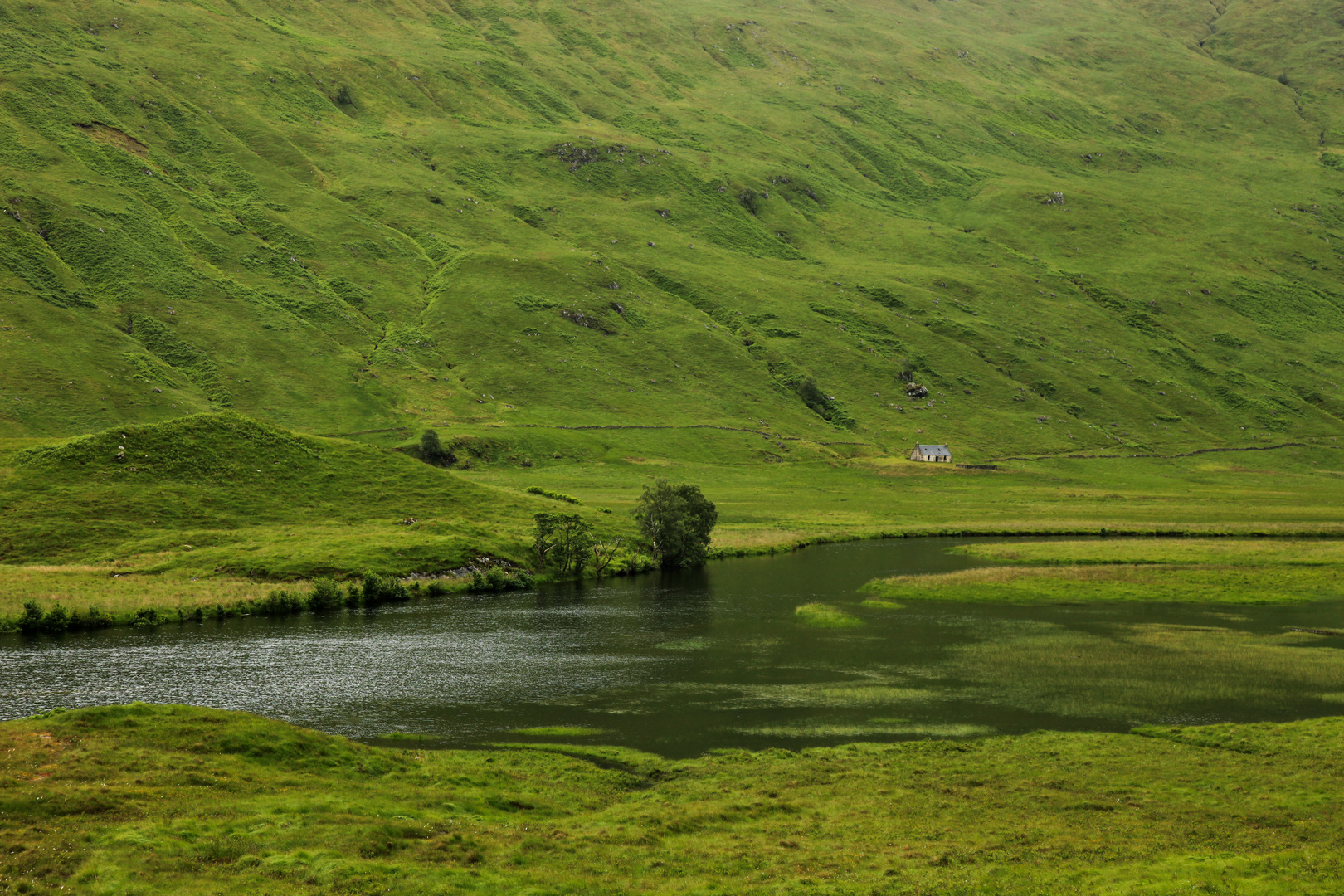 Loch Arkaig