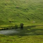 Loch Arkaig