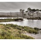 Loch Assynt