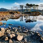 Loch Assynt 2