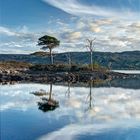 Loch Assynt