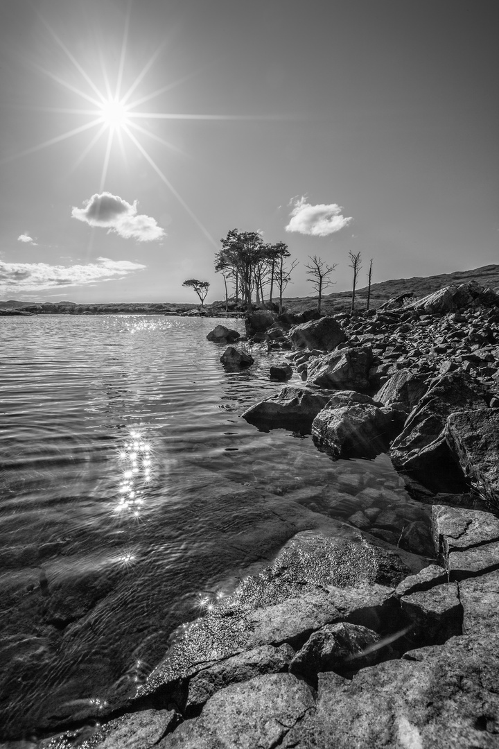 Loch Assynt - Sternenmeer