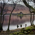 Loch Awe (II)