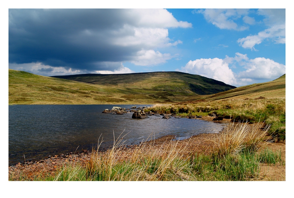 Loch Beanie