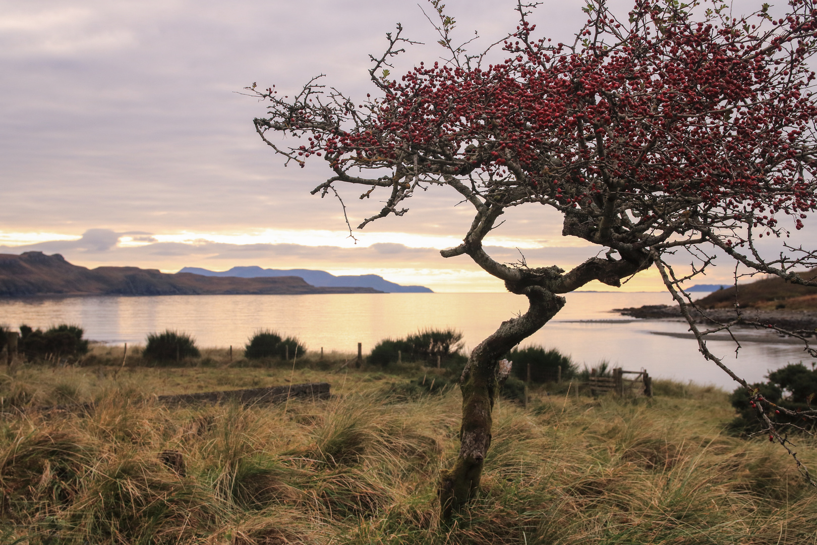 Loch Brittle