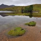 Loch Broom (4)