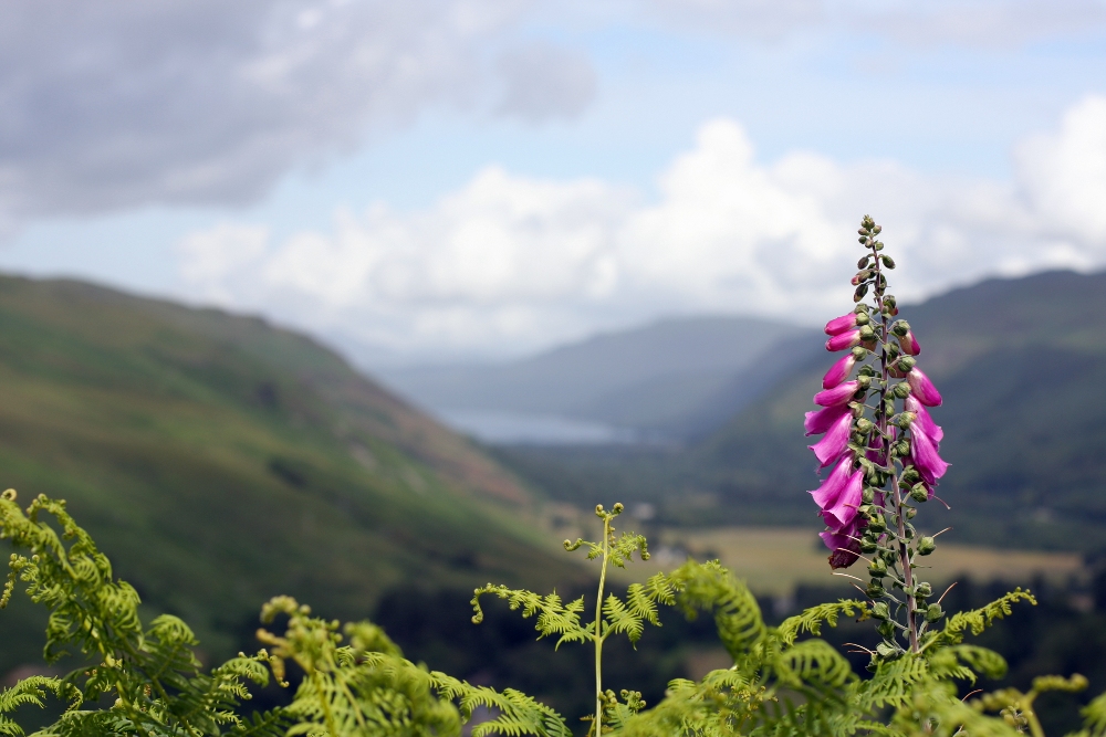 Loch Broom