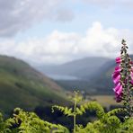 Loch Broom