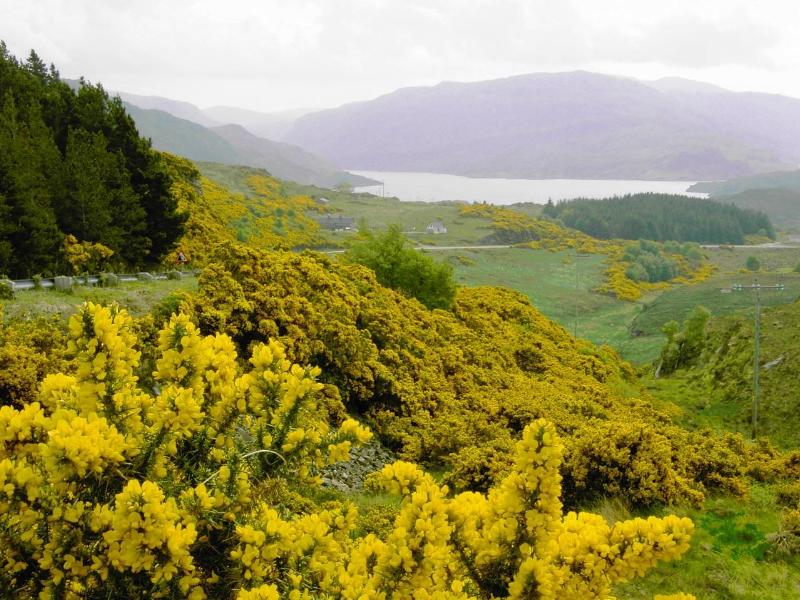 Loch Broom, nr. Ullapool