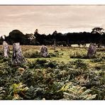 Loch Buie Stone Circle