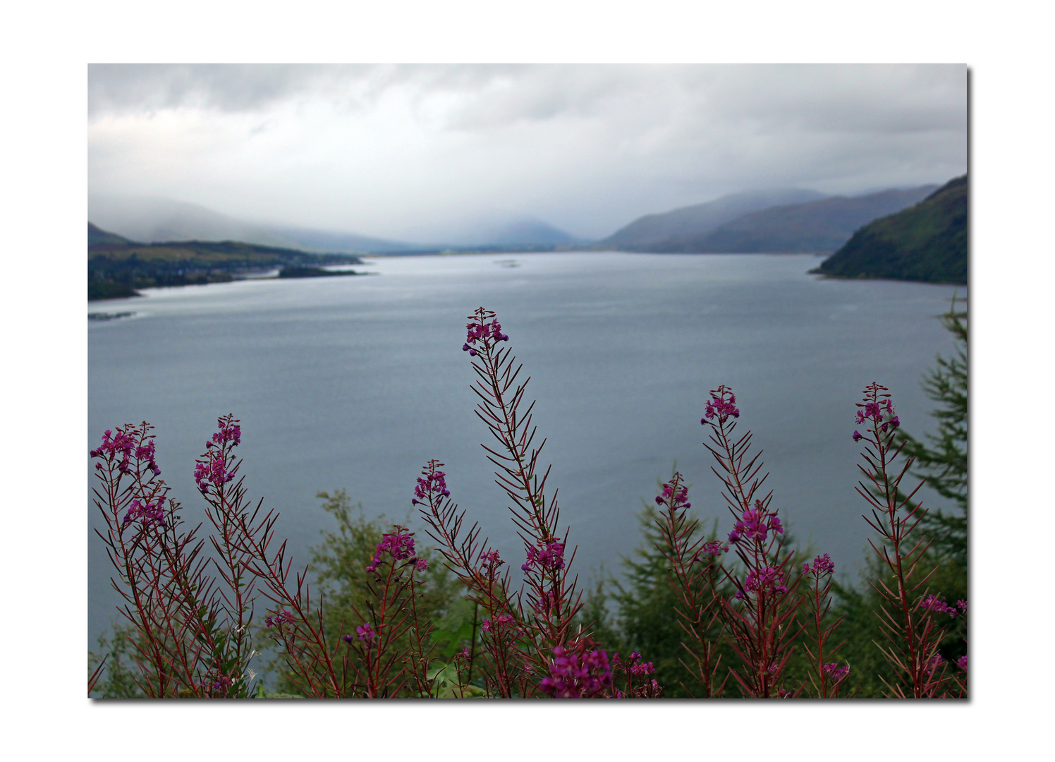 ***Loch Carron***