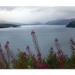 ***Loch Carron***