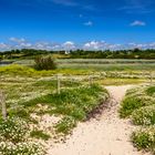 Loc'h Coziou, Trévignon, Bretagne, France