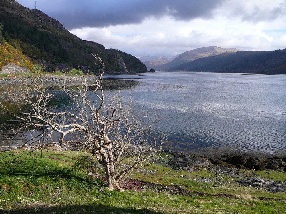 Loch Dhuin (1) Highlands, Schottland