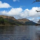 Loch Eck