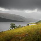 Loch Etive