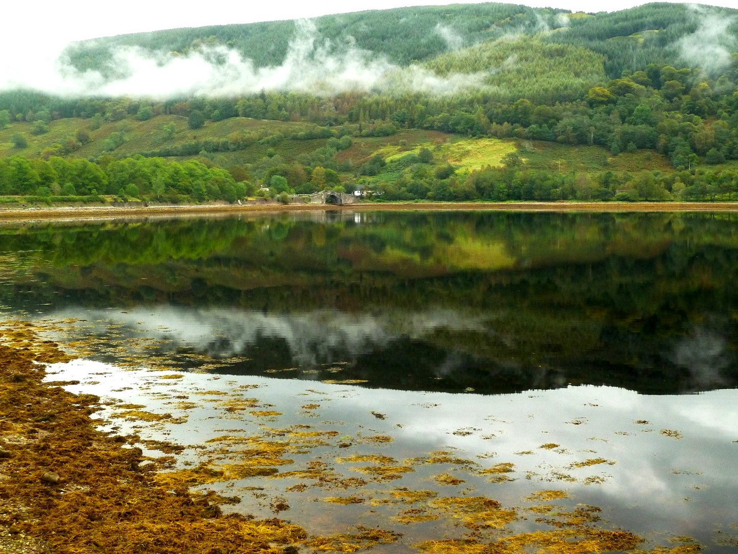 Loch Fyne reflections