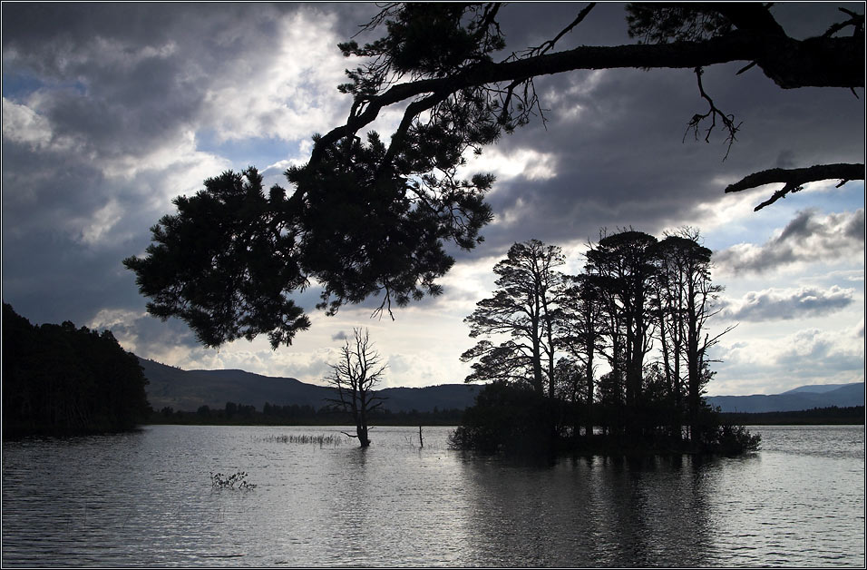 Loch Garten...