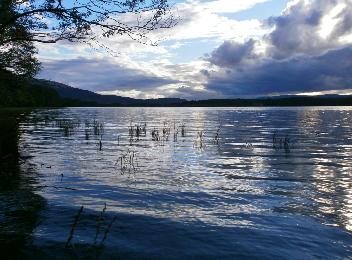 Loch Garten