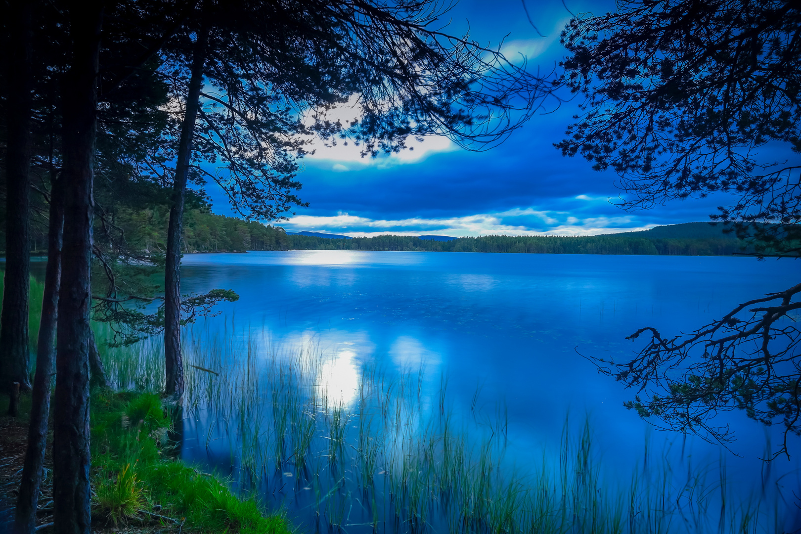 Loch Garten in Schottland