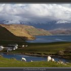 Loch Harport