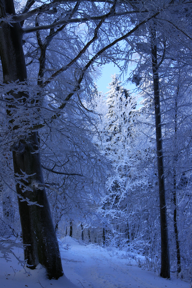 Loch im Dach aus Schnee