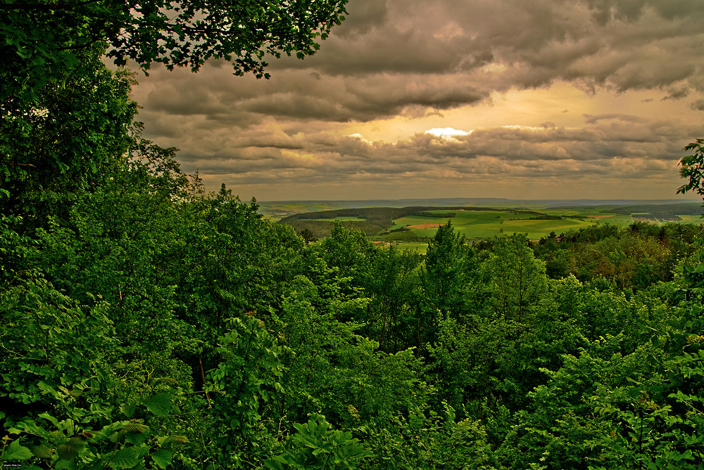 loch im wald