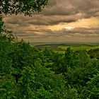 loch im wald