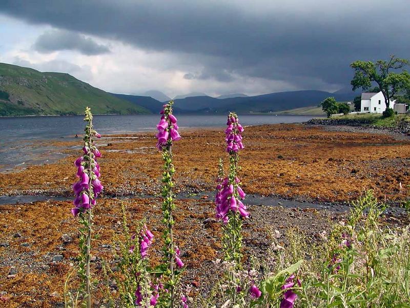 Loch in Schottland