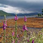 Loch in Schottland