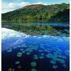 Loch Katrine