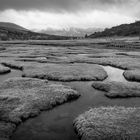 Loch Linnhe