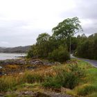 Loch Linnhe