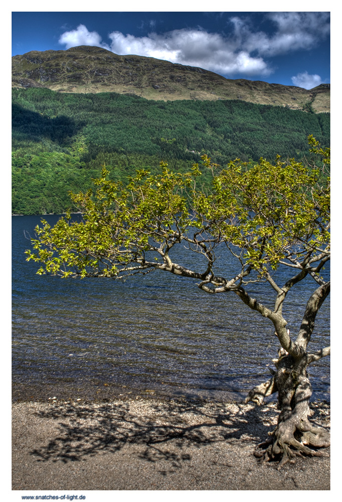 Loch Lomond (2)