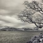 Loch Lomond