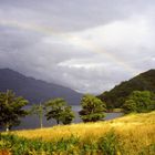 Loch Lomond