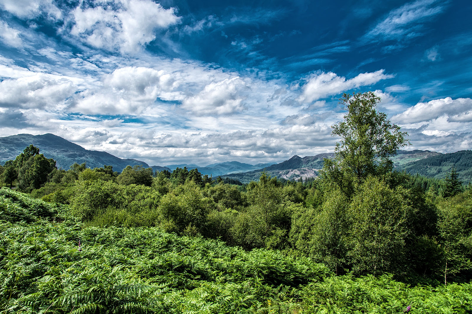 Loch Lomond N.P.