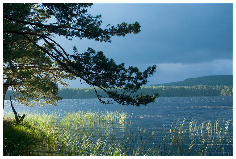 Loch Mallachie