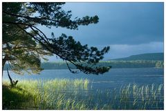 Loch Mallachie