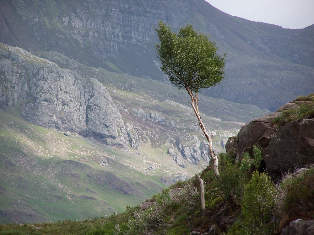 Loch Maree