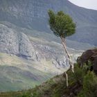 Loch Maree