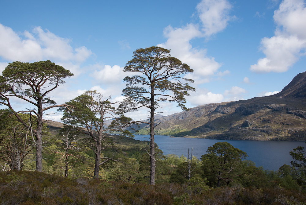 Loch Maree 3