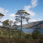 Loch Maree 3