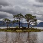 Loch Maree 